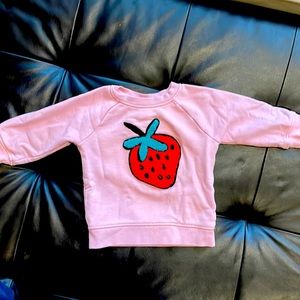 Hanna Andersson toddler sweatshirt